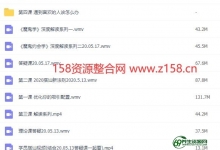 魔鬼约会学升级版5.0 魔鬼咨询师约会学视频教程-泡妞教程视频大全