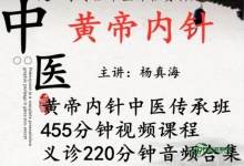 杨真海《黄帝内针》培训课程视频教学