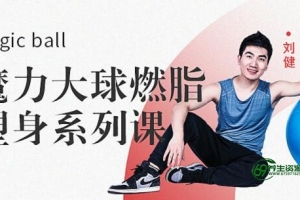 刘健《Magic ball魔力大球燃脂塑身系列课》教程视频讲座-瘦身针