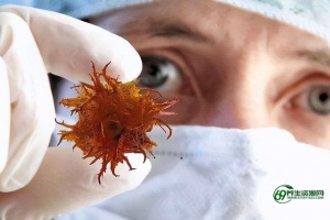 肿瘤坏死因子高对怀孕的影响(肿瘤坏死因子高)