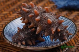 海参营养成分和功效(海参营养作用与功效)