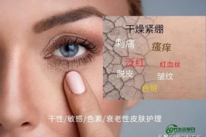 皮肤知识讲解皮肤结构（皮肤知识培训个人总结）