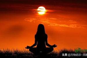 营养大脑提高记忆力的药(提高记忆力的药物有用吗)