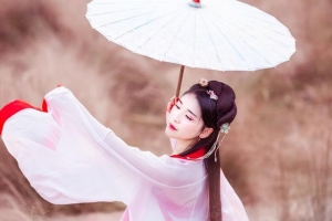 柔荑指女子的什么地方（百度翻译）