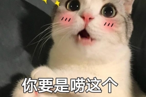 什么红酒好喝又实惠（什么红酒好喝不贵还上档次）