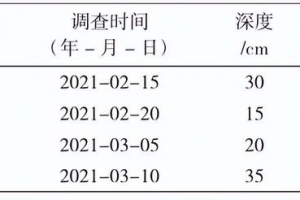黄精药材有什么功效怎么吃每次多少克（黄精药材有什么功效怎么吃）