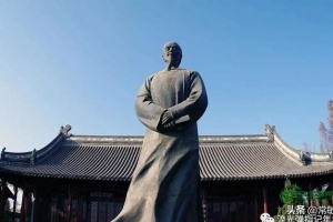 澄迈苦丁茶的作用(苦丁茶的作用与功效不适用人群)