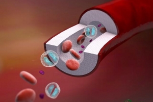 心脑血管硬化严重吗（心脑血管硬化能治愈吗）