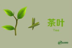 绿茶的副作用和危害（绿茶的副作用有哪些）