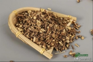 柴胡的功效与作用及禁忌(柴胡的功效与作用的功能与主治)