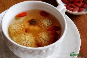 桑叶菊花枸杞茶的功效（菊花枸杞茶的功效与作用）
