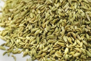 小茴香的作用与功能主治（小茴香的作用与功效）