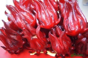 玫瑰茄的作用是什么，玫瑰茄的作用与功效