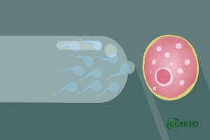 请问万艾可多少钱一粒，药店有卖万艾可多少钱