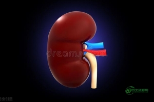 男人补肾中药配方（男人补肾吃什么）