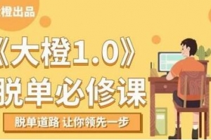 大橙1.0《脱单必修课》脱单道路，让你领先一步-实用泡妞教程