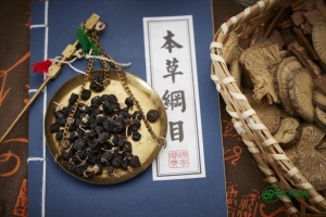 脑复康别名(脑复康说明书)