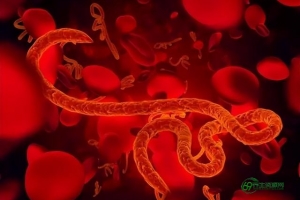 血气分析六步法（血气分析抽多少毫升血）