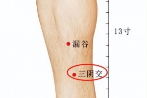 三阴交穴位在哪（一个可以健脾胃，益肝肾，调经带的神奇穴位——三阴交）