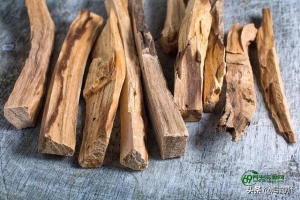 木香的功效与作用点用，木香的功效与作用的功能与主治