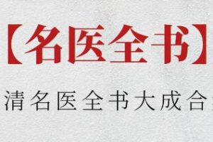 名医全书《明清名医全书大成合集》PDF电子书